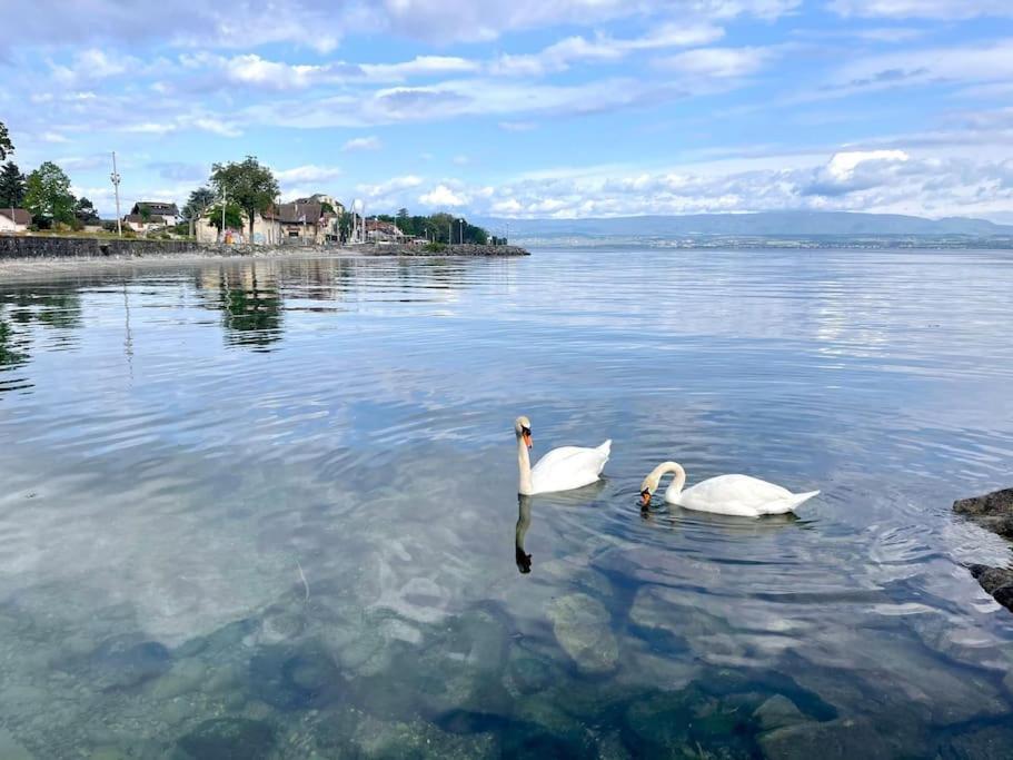 Apartament L'Escale Du Leman Publier Zewnętrze zdjęcie